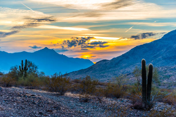 istockphoto-983138600-612x612-1.jpg